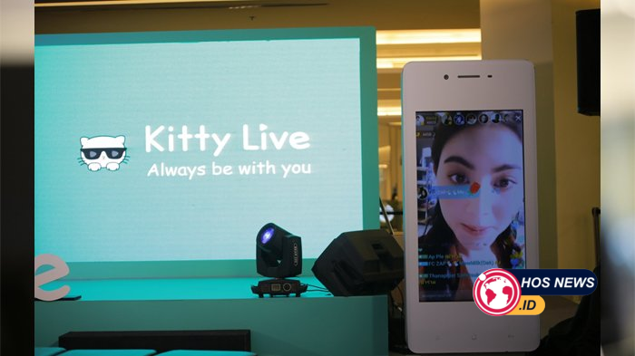 Kitty Live Streaming