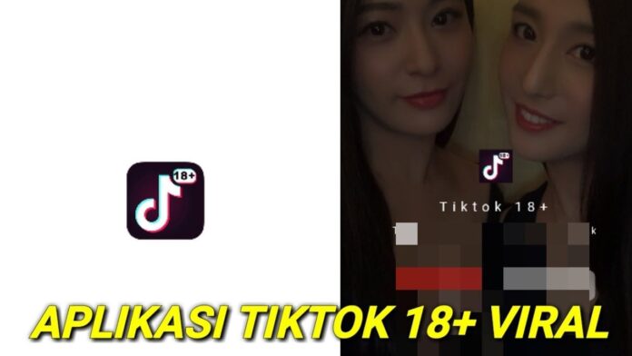 Tiktok 18 Plus apk