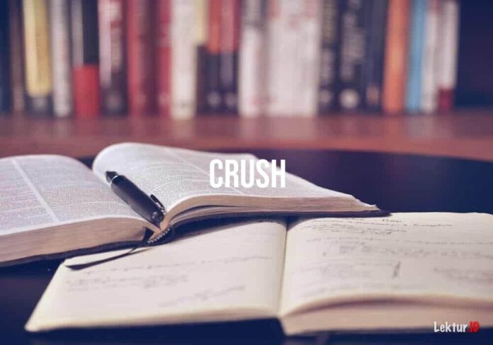 Inilah Arti Kata Crush Dalam Bahasa Gaul, Percintaan, Hubungan