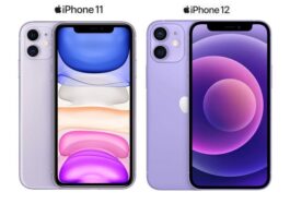 Perbedaan Iphone 11 Dan 12 Mini Dari Belakang Dan Secara Fisik