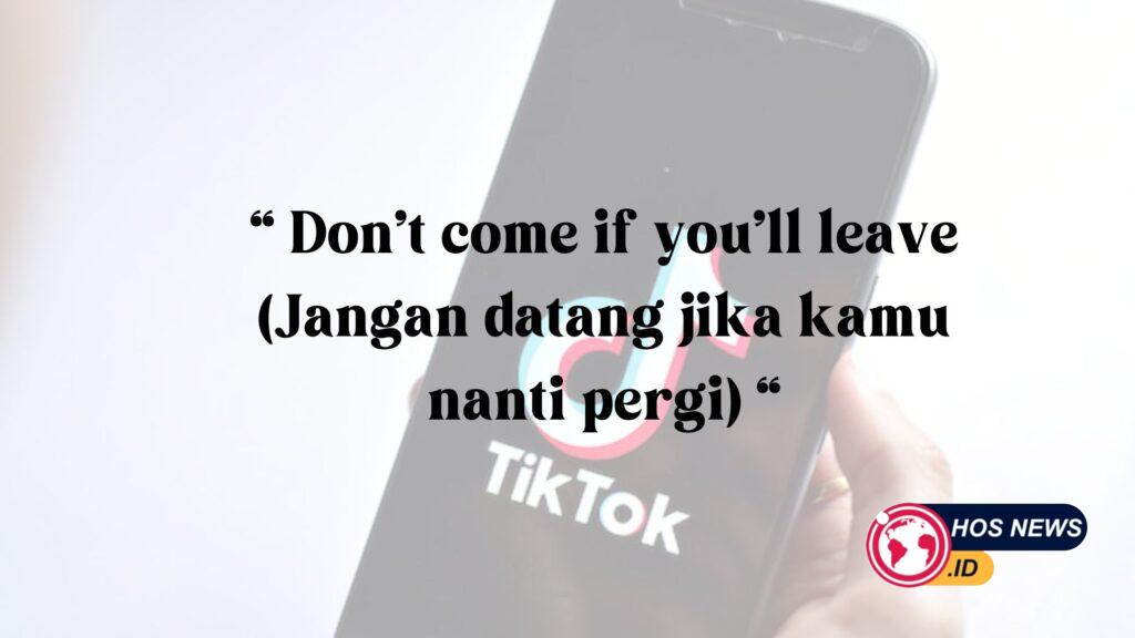 Bio TIktok Keren Bahasa Inggris dan Artinya