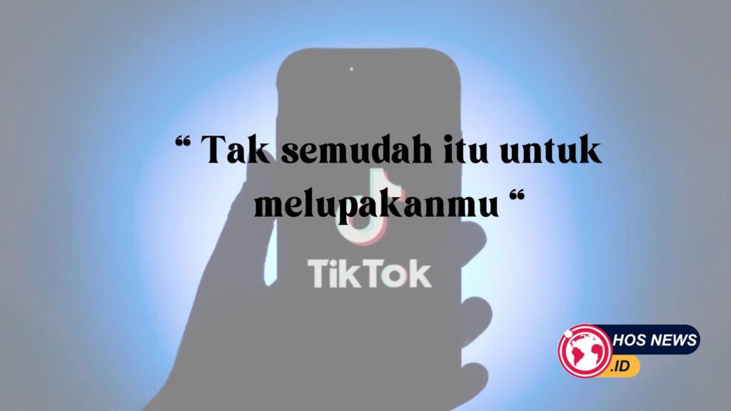 Bio TikTok Aesthetic Anti Mainstream