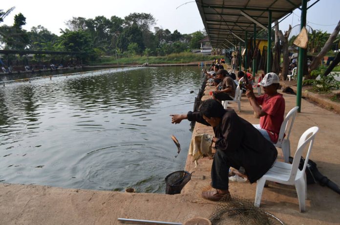 Tempat Mancing di Surabaya Terbaik Yang Wajib Dicoba, Buka Setiap Hari